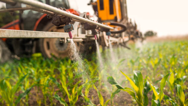 Best Mosquito Control Services  in Masonville, KY